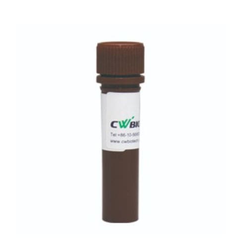 酶试剂 - FastSYBR - Jiangsu CoWin Biotech Co.,Ltd - Taq-DNA聚合酶 / qPCR / 热启动式