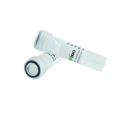 加载缓冲区试剂 - 2×Super Pfx - Jiangsu CoWin Biotech Co.,Ltd - 酶 / DNA聚合酶 / PCR