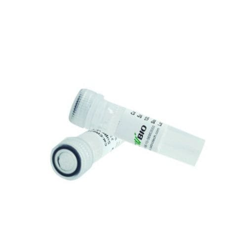蛋白酶试剂 - CW2572L - Jiangsu CoWin Biotech Co.,Ltd - 蛋白酶K / 用于微生物学 / pH值