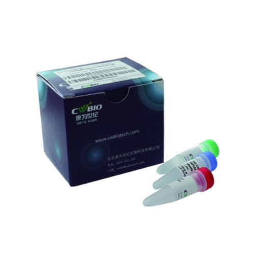 酶试剂套装 - Jiangsu CoWin Biotech Co.,Ltd - DNA聚合酶 / NGS / 用于DNA排列
