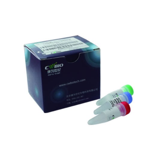 酶试剂套装 - Jiangsu CoWin Biotech Co.,Ltd - DNA聚合酶 / NGS / DNA文库制备