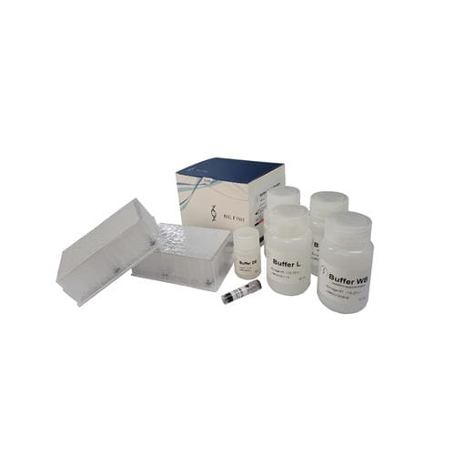 溶液试剂 - BFMP08 series - Hangzhou Bigfish Bio-tech Co., Ltd. - PCR / RT-PCR / 冠状病毒