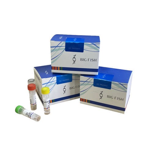 传染病快速诊断套装 - Hangzhou Bigfish Bio-tech Co., Ltd. - 猪用 / 实时 / PCR