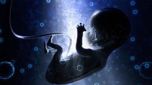 妊娠快速诊断套装 - Artron Bioresearch Inc. - 嵌入式 / 剥离