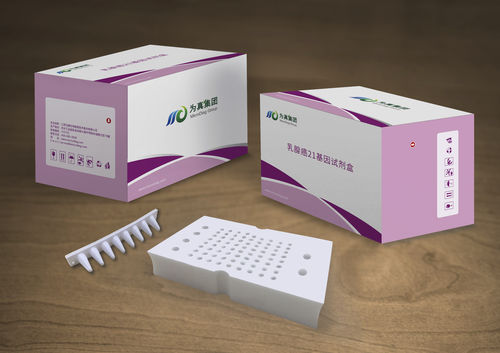 癌症快速诊断套装 - Jiangsu MicroDiag Biomedicine Technology Co., Ltd. - 肿瘤科 / 基因 / 组织