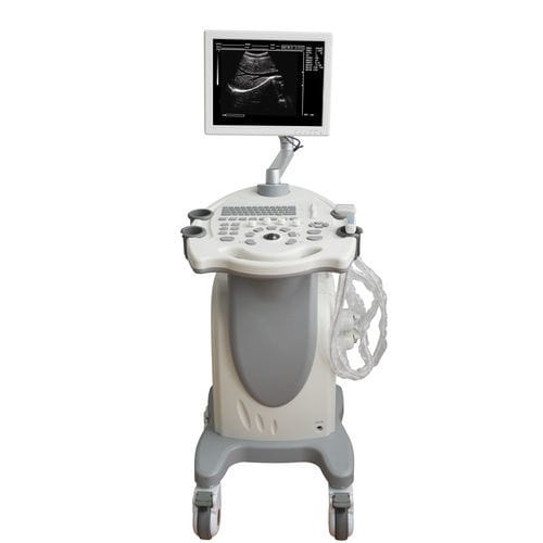 超声工作站 - MDK-9300 - Mianyang United Ultrasound Electronics - 用于多功能超声检查 / 黑白 / 15英寸