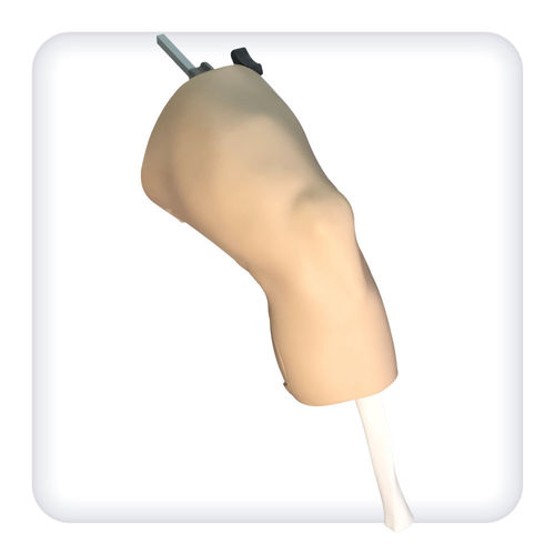 关节镜模拟器 - M1127 - SATC solution - 手术 / 解剖学 / 膝盖