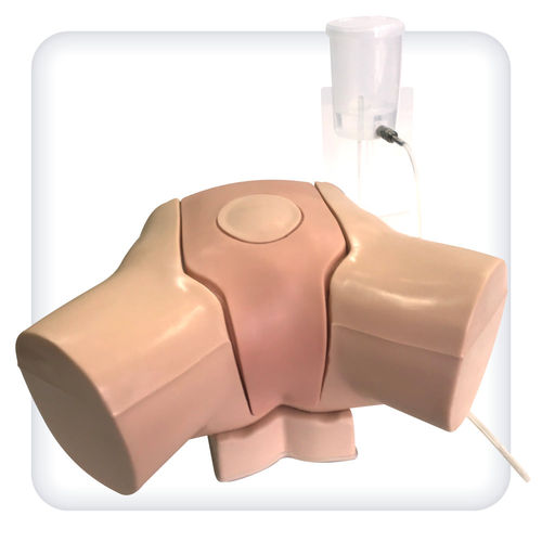 穿刺模拟器 - M1141 - SATC solution - 尿道插管术 / 用于泌尿护理 / 躯干