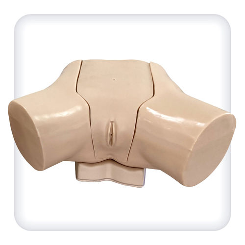 尿道插管术模拟器 - M1114 - SATC solution - 用于泌尿护理 / 女性 / 躯干