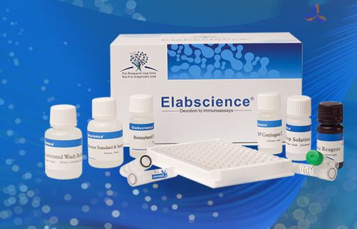研究快速诊断套装 - QuicKey Pro™ - Elabscience Biotechnology Inc. - 倒白细胞介素6 / 密度 / 血清