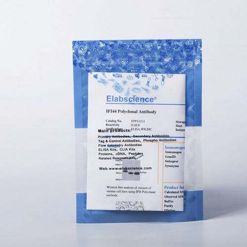 溶液试剂 - E-AB-V1002 - Elabscience Biotechnology Inc. - 单克隆抗体 / 细胞凋亡 / 蛋白质印迹