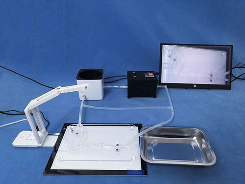 培训模拟器 - Trando 3D Medical Technology - 手术 / 便携式 / 循环系统