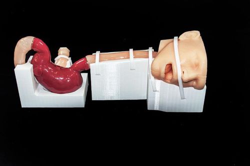 培训模拟器 - XH-02 - Trando 3D Medical Technology - 胃镜检查 / 手术