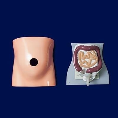 培训模拟器 - PL001 - Trando 3D Medical Technology - 腹腔镜检查 / 手术 / 阴道