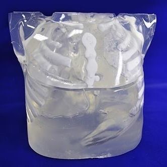 放射造影测试体模 - XCP001 - Trando 3D Medical Technology - 躯干 / 脊柱