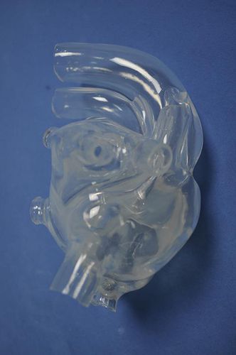 心脏解剖模型 - XX011D - Trando 3D Medical Technology - 教学 / 男性 / 成人