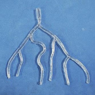 股骨动脉解剖模型 - HSX011 - Trando 3D Medical Technology - 培训