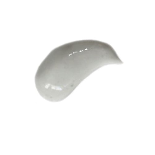 肌肉解剖模型 - HSX003 - Trando 3D Medical Technology - 胆囊 / 膀胱 / 培训