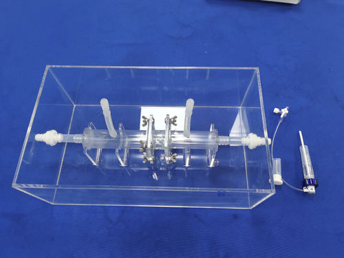 全身解剖模型 - Trando 3D Medical Technology - 培训 / 透明