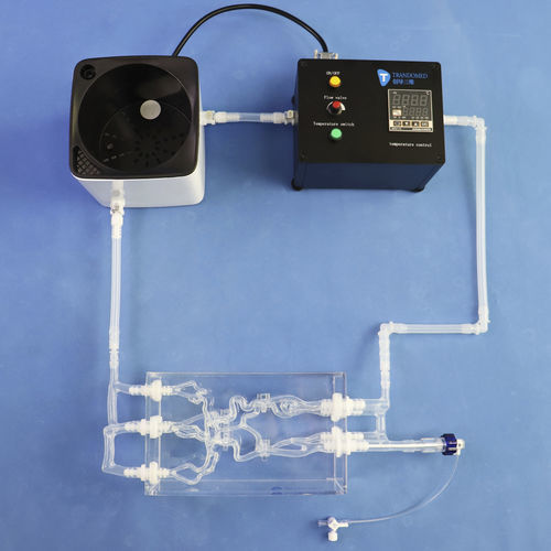 股骨动脉血管模型 - SJK002D-01 - Trando 3D Medical Technology - 颈动脉 / 血管 / 大脑