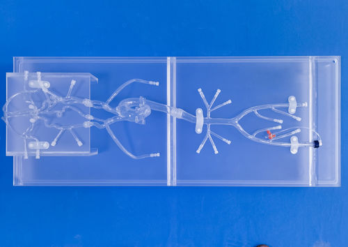 神经学血管模型 - SJ001D-02 - Trando 3D Medical Technology - 血管 / 全身 / 微创手术