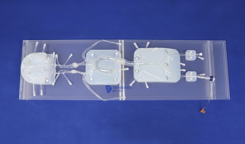 血管内模拟器 - SJ001D-010 - Trando 3D Medical Technology - 培训 / 用于神经血管干预 / 用于血管外科手术