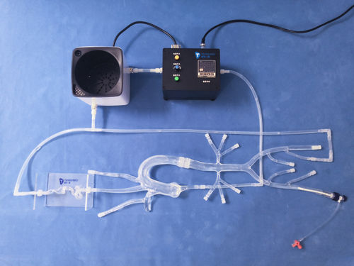 颅内血管模型 - XXS011 - Trando 3D Medical Technology - 血管 / 股骨动脉 / 股骨动脉