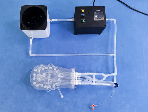 颅内解剖模型 - SJL001D - Trando 3D Medical Technology - 颈动脉 / 培训 / 透明