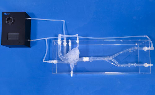心脏血管模型 - XXS019 - Trando 3D Medical Technology - 关节 / 血管 / 股骨动脉