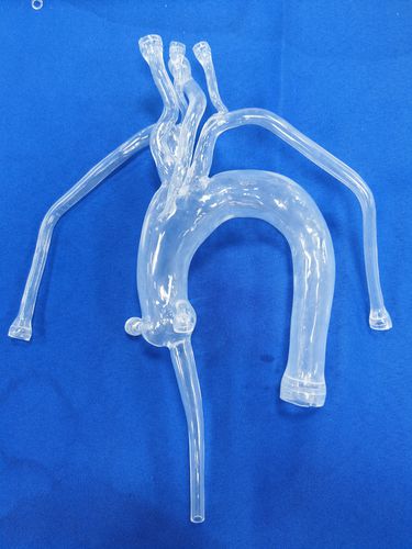 心脏解剖模型 - XX001D1-03 - Trando 3D Medical Technology - 微创手术 / 培训 / 透明