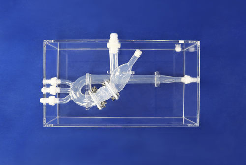 心脏解剖模型 - XXD015 - Trando 3D Medical Technology - 胸廓 / 微创手术 / 培训
