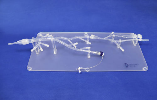 下肢解剖模型 - XZS001-1 - Trando 3D Medical Technology - 微创手术 / 培训 / 透明