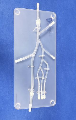 腿部解剖模型 - XXD006 - Trando 3D Medical Technology - 下肢 / 微创手术 / 培训