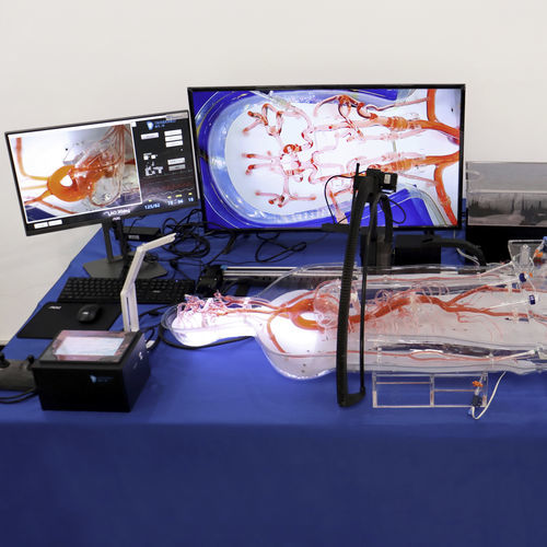胃镜检查模拟器 - EVT011 - Trando 3D Medical Technology - 培训 / 经皮冠状动脉介入术 / 用于经皮桡动脉插管