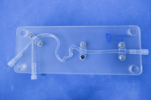 颈动脉解剖模型 - SJJ003D - Trando 3D Medical Technology - 培训 / 血栓切除 / 血管狭窄
