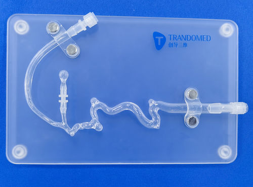 血管血管模型 - SJX011 - Trando 3D Medical Technology - 颅内 / 神经外科 / 培训