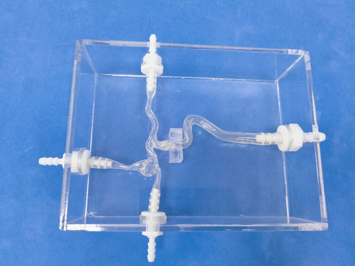 颈动脉解剖模型 - Trando 3D Medical Technology - 血管 / 神经外科 / 培训