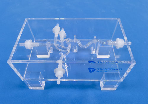 血管血管模型 - SDL006 - Trando 3D Medical Technology - 大脑 / 颅内 / 用于血管外科手术
