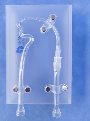血管血管模型 - JYX001-2 - Trando 3D Medical Technology - 大脑 / 颅内 / 神经外科