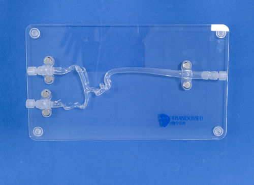 血管血管模型 - JYX001-3 - Trando 3D Medical Technology - 大脑 / 颅内 / 神经外科