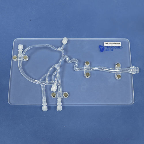 颅内解剖模型 - Trando 3D Medical Technology - 血管 / 培训 / 动脉瘤