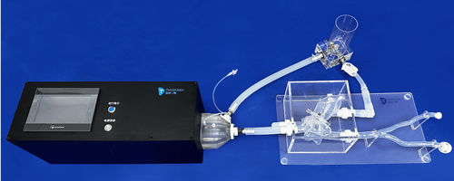 心脏解剖模型 - XXD006 - Trando 3D Medical Technology - 腔静脉 / 血管 / 二尖瓣
