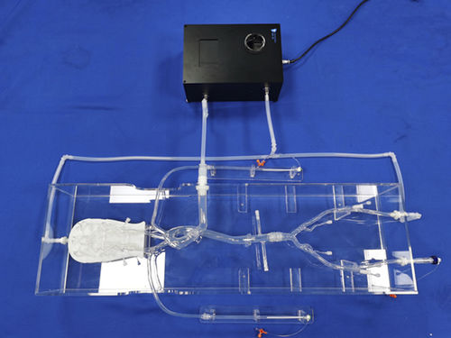 神经学血管模型 - SJX013 - Trando 3D Medical Technology - 颅内 / 血管 / 微创手术