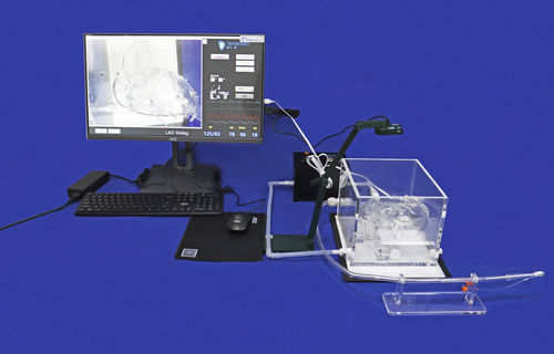 培训模拟器 - XX002D - Trando 3D Medical Technology - 用于插管 / 冠状动脉搭桥术 / 用于心脏手术