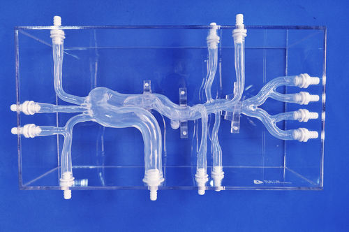 血管血管模型 - XXK004D - Trando 3D Medical Technology - 微创手术 / 培训 / 解剖