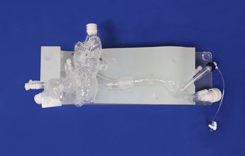 心脏血管模型 - XXD013 - Trando 3D Medical Technology - 血管 / 微创手术 / 培训