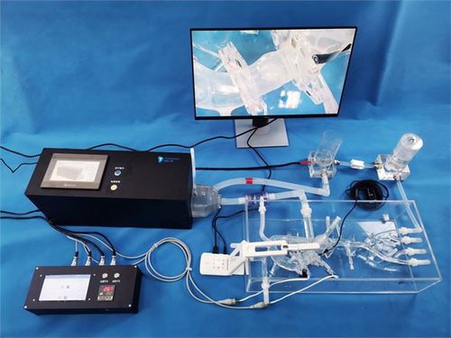 培训模拟器 - XXK005D-1 - Trando 3D Medical Technology - 用于血管外科手术 / 股骨动脉 / 主动脉瓣