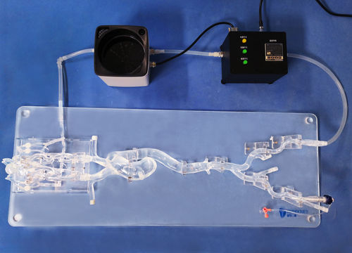 血管血管模型 - SJX006 - Trando 3D Medical Technology - 全身 / 微创手术 / 培训