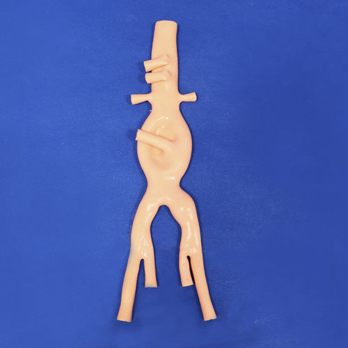 腹部解剖模型 - FBD016 - Trando 3D Medical Technology - 血管 / 培训 / 缝合