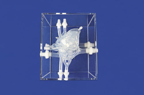 心脏血管模型 - XXK001DJ-03 - Trando 3D Medical Technology - 用于心脏手术 / 培训 / 透明